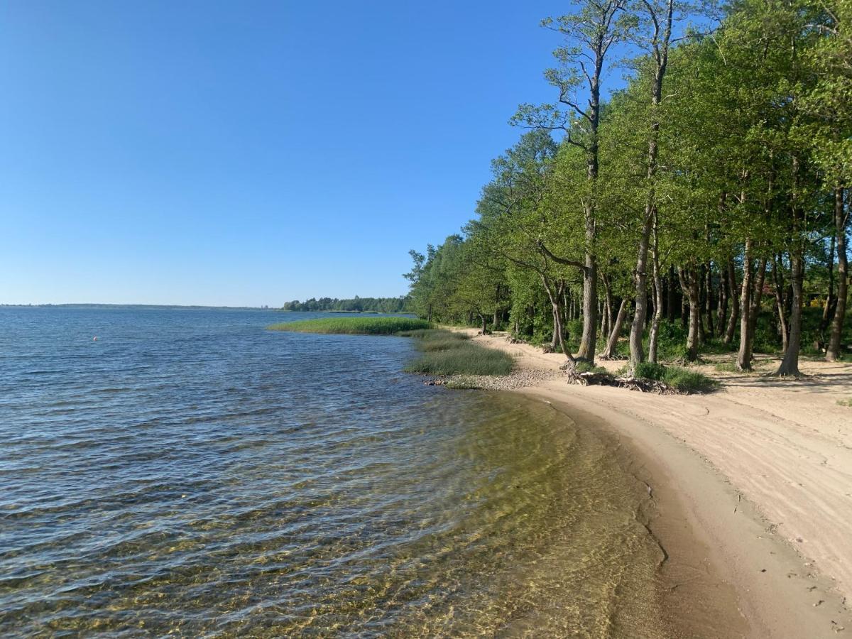 Lodge Sosnowe Tarasy